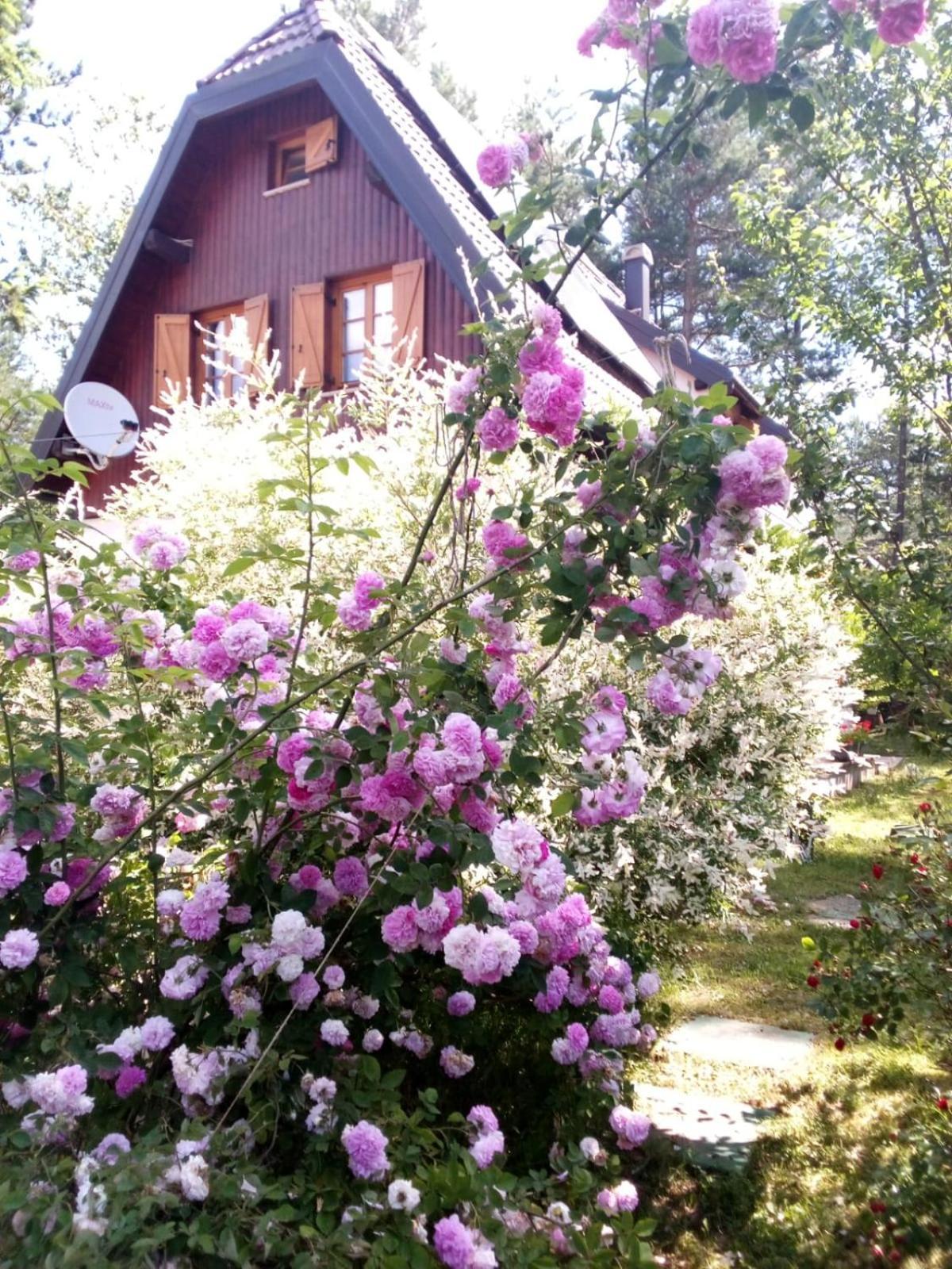 Plitvice Lakes Holiday Lodge Rudanovac Extérieur photo